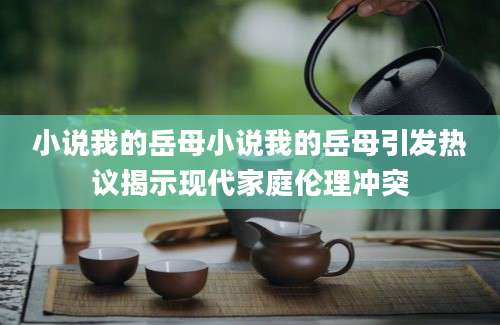 小说我的岳母小说我的岳母引发热议揭示现代家庭伦理冲突