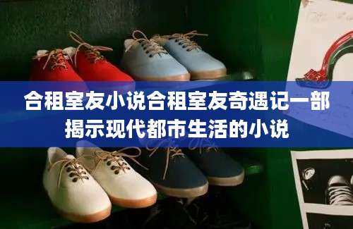 合租室友小说合租室友奇遇记一部揭示现代都市生活的小说