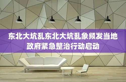 东北大坑乱东北大坑乱象频发当地政府紧急整治行动启动