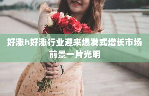 好涨h好涨行业迎来爆发式增长市场前景一片光明