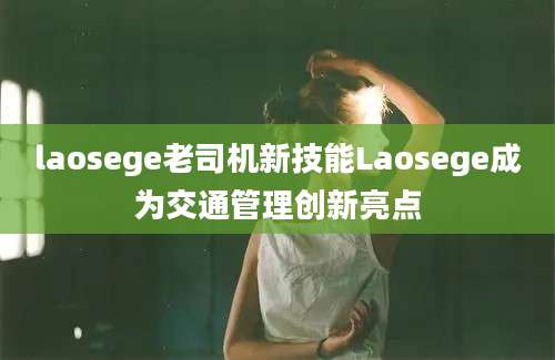 laosege老司机新技能Laosege成为交通管理创新亮点