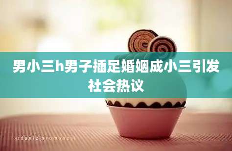 男小三h男子插足婚姻成小三引发社会热议