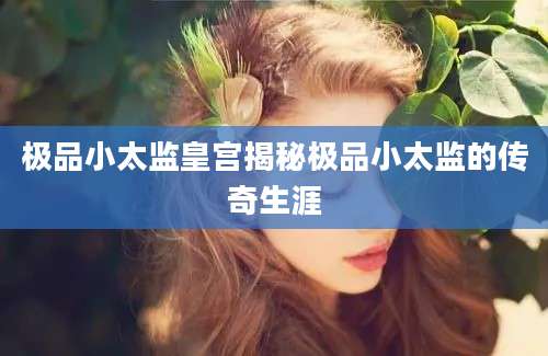 极品小太监皇宫揭秘极品小太监的传奇生涯