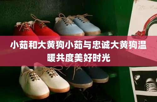 小茹和大黄狗小茹与忠诚大黄狗温暖共度美好时光