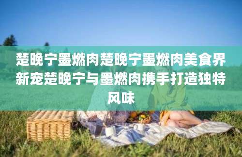 楚晚宁墨燃肉楚晚宁墨燃肉美食界新宠楚晚宁与墨燃肉携手打造独特风味