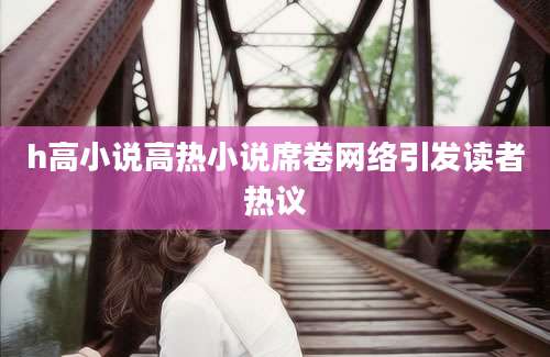 h高小说高热小说席卷网络引发读者热议