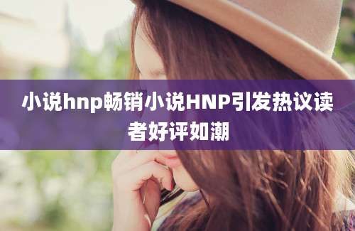 小说hnp畅销小说HNP引发热议读者好评如潮