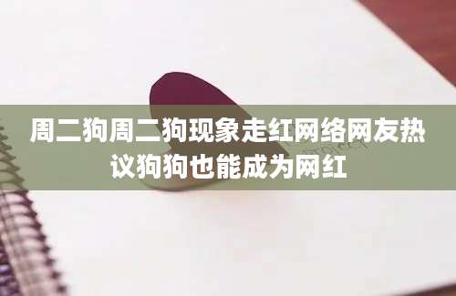 周二狗周二狗现象走红网络网友热议狗狗也能成为网红