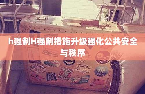 h强制H强制措施升级强化公共安全与秩序