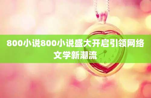 800小说800小说盛大开启引领网络文学新潮流