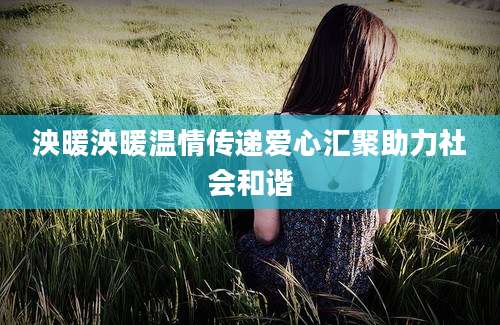 泱暖泱暖温情传递爱心汇聚助力社会和谐