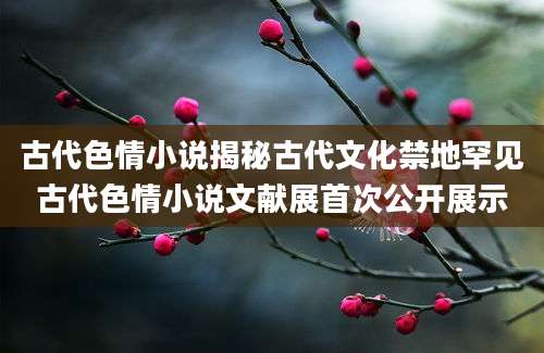 古代色情小说揭秘古代文化禁地罕见古代色情小说文献展首次公开展示