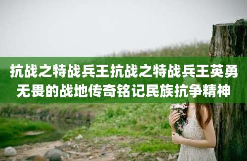 抗战之特战兵王抗战之特战兵王英勇无畏的战地传奇铭记民族抗争精神