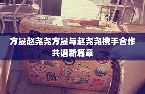 方晟赵尧尧方晟与赵尧尧携手合作共谱新篇章