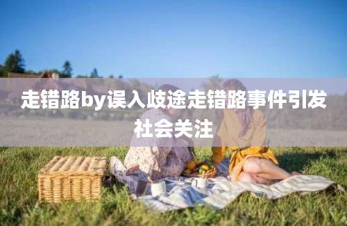 走错路by误入歧途走错路事件引发社会关注