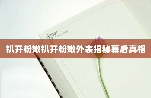 扒开粉嫩扒开粉嫩外表揭秘幕后真相