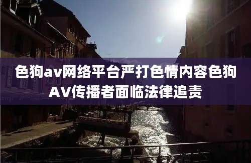 色狗av网络平台严打色情内容色狗AV传播者面临法律追责