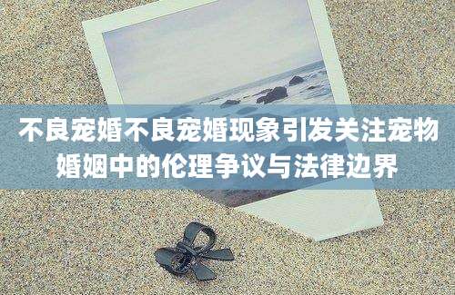 不良宠婚不良宠婚现象引发关注宠物婚姻中的伦理争议与法律边界