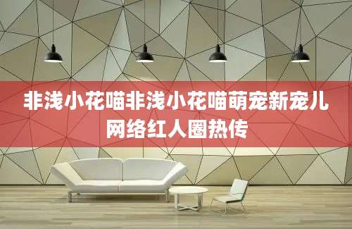 非浅小花喵非浅小花喵萌宠新宠儿网络红人圈热传