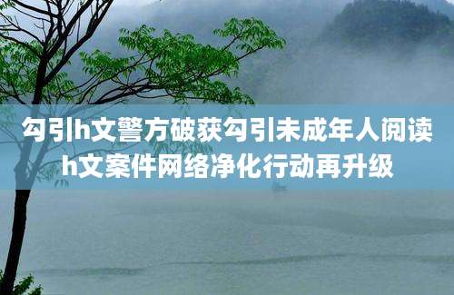 勾引h文警方破获勾引未成年人阅读h文案件网络净化行动再升级