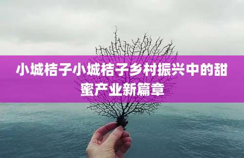 小城桔子小城桔子乡村振兴中的甜蜜产业新篇章
