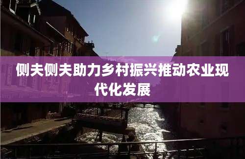 侧夫侧夫助力乡村振兴推动农业现代化发展