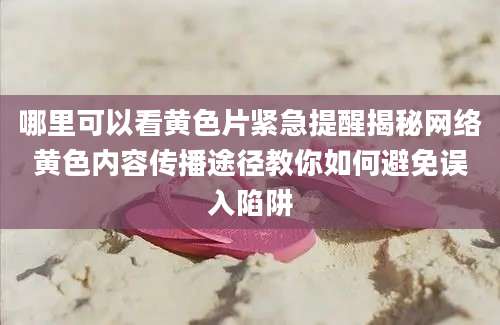 哪里可以看黄色片紧急提醒揭秘网络黄色内容传播途径教你如何避免误入陷阱