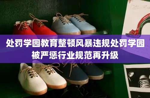处罚学园教育整顿风暴违规处罚学园被严惩行业规范再升级