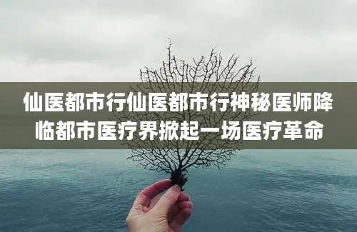 仙医都市行仙医都市行神秘医师降临都市医疗界掀起一场医疗革命