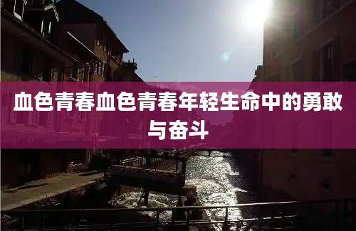 血色青春血色青春年轻生命中的勇敢与奋斗