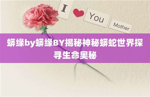 蟒缘by蟒缘BY揭秘神秘蟒蛇世界探寻生命奥秘
