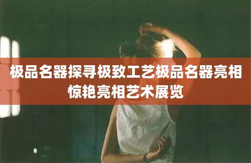 极品名器探寻极致工艺极品名器亮相惊艳亮相艺术展览