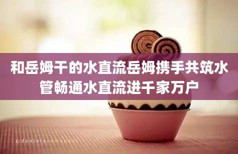 和岳姆干的水直流岳姆携手共筑水管畅通水直流进千家万户
