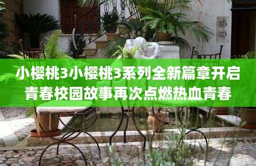 小樱桃3小樱桃3系列全新篇章开启青春校园故事再次点燃热血青春