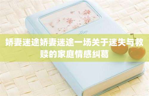 娇妻迷途娇妻迷途一场关于迷失与救赎的家庭情感纠葛