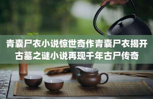 青囊尸衣小说惊世奇作青囊尸衣揭开古墓之谜小说再现千年古尸传奇