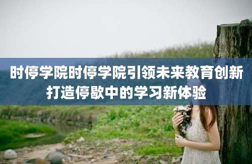 时停学院时停学院引领未来教育创新打造停歇中的学习新体验