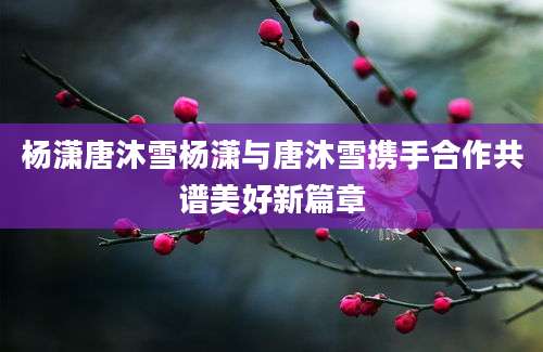 杨潇唐沐雪杨潇与唐沐雪携手合作共谱美好新篇章