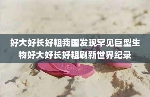 好大好长好粗我国发现罕见巨型生物好大好长好粗刷新世界纪录