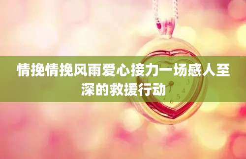 情挽情挽风雨爱心接力一场感人至深的救援行动