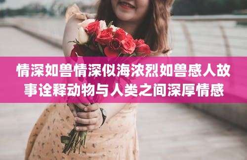 情深如兽情深似海浓烈如兽感人故事诠释动物与人类之间深厚情感