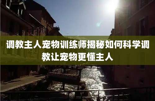 调教主人宠物训练师揭秘如何科学调教让宠物更懂主人