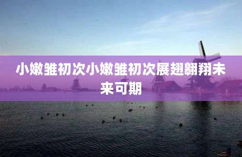 小嫩雏初次小嫩雏初次展翅翱翔未来可期