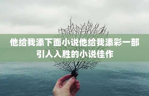 他给我添下面小说他给我添彩一部引人入胜的小说佳作