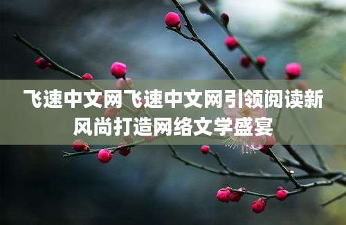 飞速中文网飞速中文网引领阅读新风尚打造网络文学盛宴