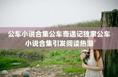 公车小说合集公车奇遇记独家公车小说合集引发阅读热潮