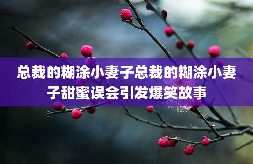 总裁的糊涂小妻子总裁的糊涂小妻子甜蜜误会引发爆笑故事