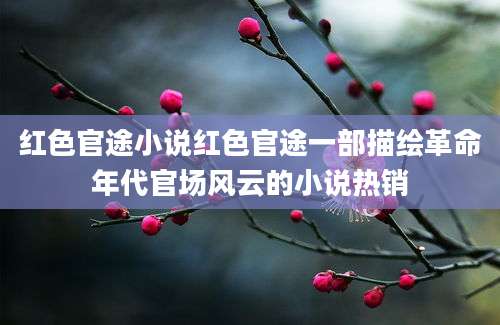 红色官途小说红色官途一部描绘革命年代官场风云的小说热销