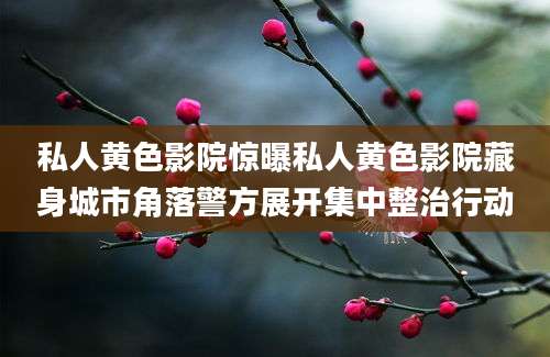 私人黄色影院惊曝私人黄色影院藏身城市角落警方展开集中整治行动