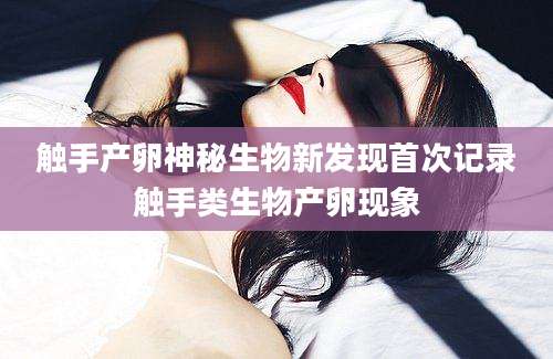 触手产卵神秘生物新发现首次记录触手类生物产卵现象